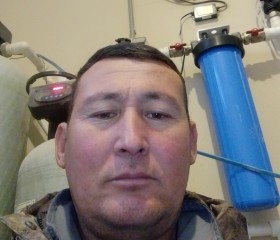 Далер, 44 года, Жуковский
