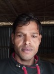 SahsjanAli, 27 лет, Guwahati
