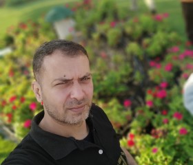احمد, 41 год, القاهرة
