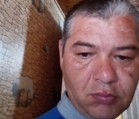 Федч Исмагилов, 47 лет, Альшеево