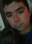 Francisco, 35 лет, Santiago de Chile