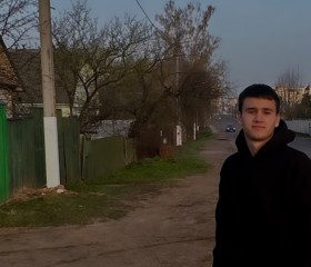 Ivan, 21 год, Горад Полацк