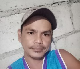 Rodolf morales, 43 года, Antipolo