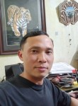Trọng Quân, 42 года, Thành Phố Thái Bình