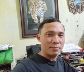 Trọng Quân, 42 года, Thành Phố Thái Bình