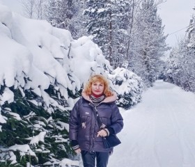 Нина, 60 лет, Санкт-Петербург
