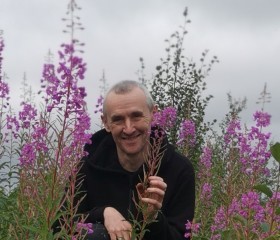 Odinokaya dusha, 53, Nikel