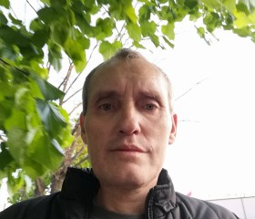 виктор, 53 года, Краснодар