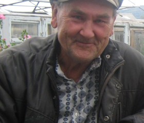 Nikolay Dmitrievich, 66, Zlatoust