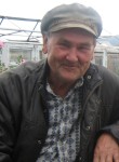 Николай Дмитриевич, 65 лет, Златоуст