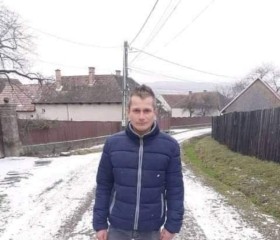 Bartok istvan, 19 лет, Sfântu-Gheorghe
