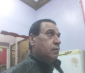 حربى, 50, Mallawi