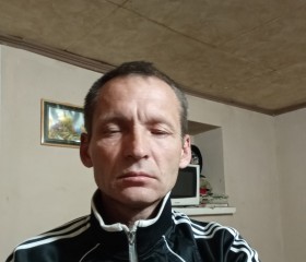 Владимир, 49 лет, Пролетарск
