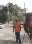 Sebastiao Campo, 53 года, Jaraguá do Sul