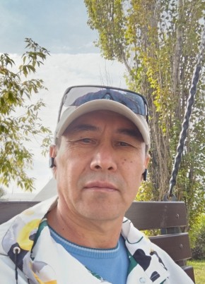 Amir, 53, Russia, Shadrinsk