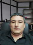 Дима, 39 лет, Toshkent