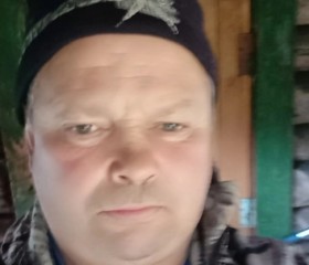 Николай, 54 года, Лоухи