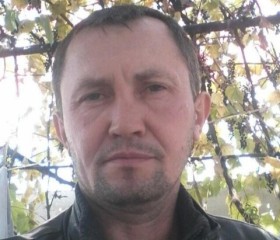 Andrei, 46 лет, Алматы