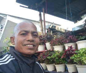 Lazarus Gadalede, 61 год, Kabupaten Malang