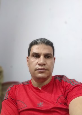 هاشم سعيد, 40, جمهورية مصر العربية, طنطا