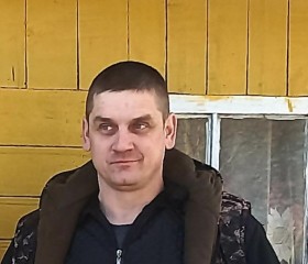 ОЛЕГ, 47 лет, Гарадскі пасёлак Ушачы