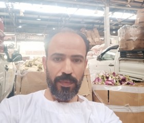 Hamada Hashem, 39, Cairo