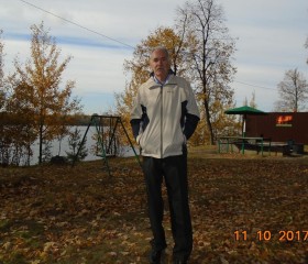 Игорь, 66 лет, Нижний Новгород