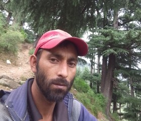 Komal Thakur, 30 лет, Jammu
