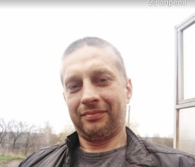 Роман Царев, 41 год, Орёл