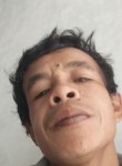 herman sah, 37 лет, Djakarta