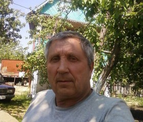 Владимир, 74 года, Жигулевск