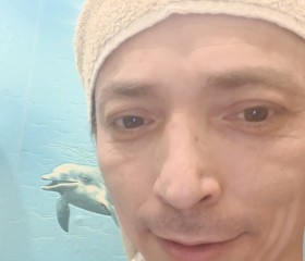 Valera Sergeev, 42, Naberezhnyye Chelny