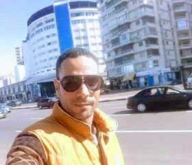 العميد, 31, Alexandria