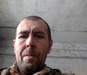 Алексей, 44 года, Богородск