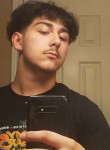ALEX, 18, New York City