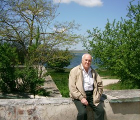 Вячеслав, 81 год, Евпатория
