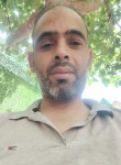 Hamza Algere, 42 года, Algiers