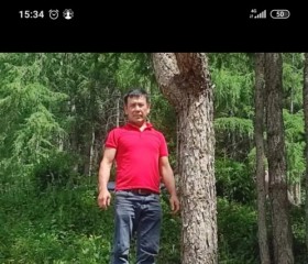 Тойчубай, 44 года, Бишкек