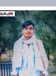 Kamal gujjar Guj, 19 лет, Bhilwara