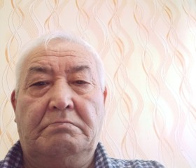 Исмат, 68 лет, Великий Новгород
