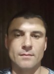 Михаил Баркевич, 39 лет, Санкт-Петербург