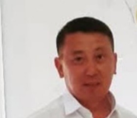 Nurzhan, 48, Shymkent