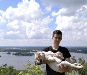 Evgeniy, 28, Nizhniy Novgorod