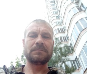 Леонид Гришаев, 43 года, Курск