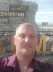 Николай Печилин, 44 года, Новосибирск