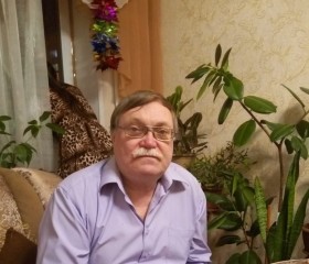 Николай, 62 года, Губкинский