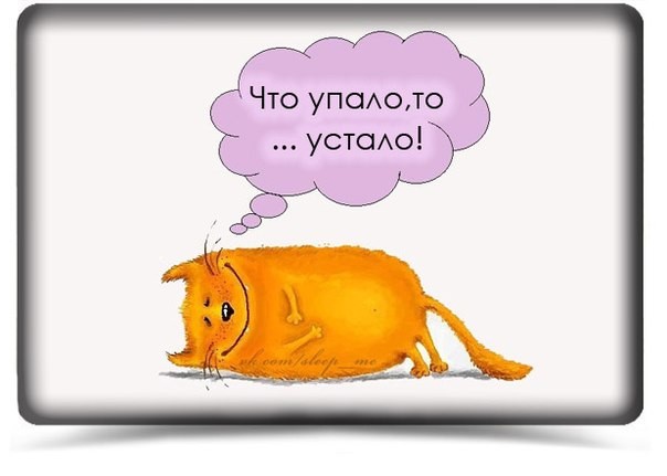 День, что-то я устала картинки прикольные
