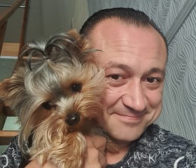 Роман, 38 лет, Донецк