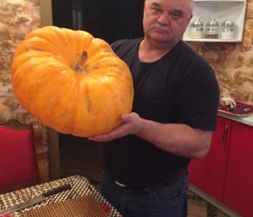 Сергей, 63 года, Аша