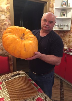 Сергей, 63, Россия, Аша